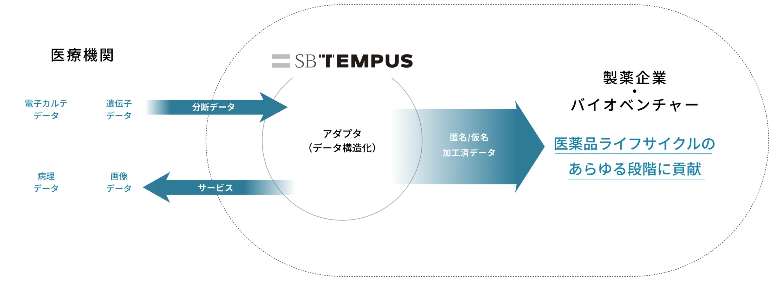 SB TEMPUSは、マルチモーダルデータの提供を通して薬剤の研究開発を支援します